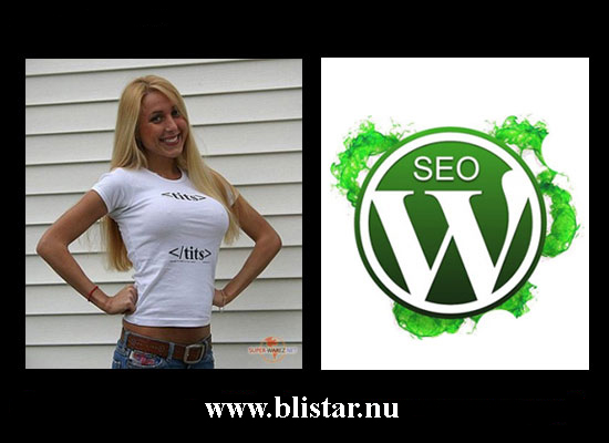 optimering av WordPress